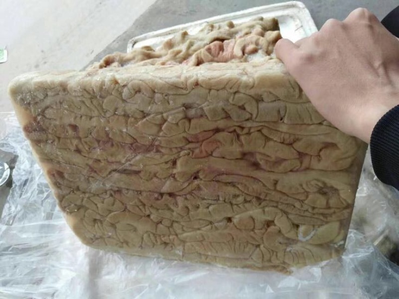 猪大肠