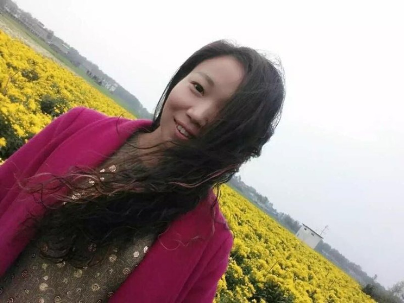 菊花茶特级