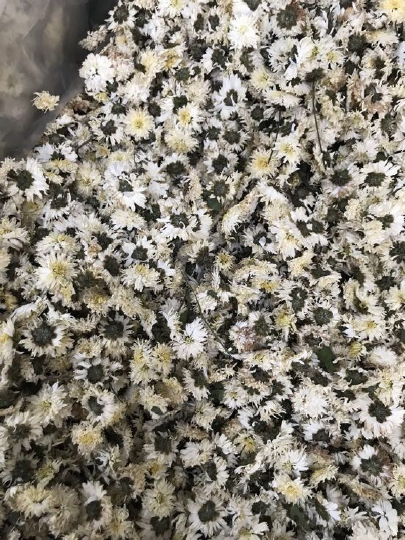 菊花茶特级