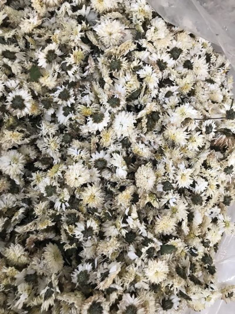 菊花茶特级