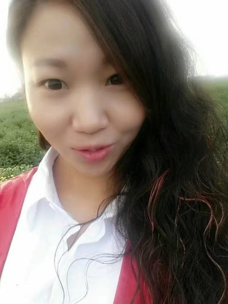 菊花茶特级