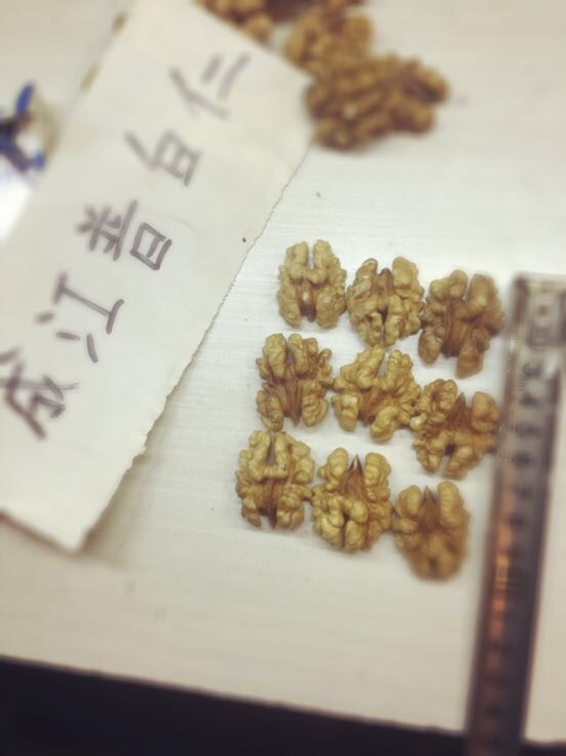 核桃仁原味