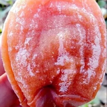 柿饼1~2两