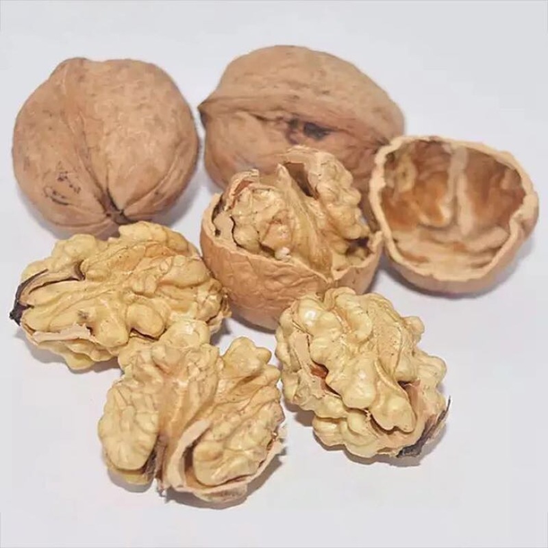 薄皮核桃40mm以上去皮干