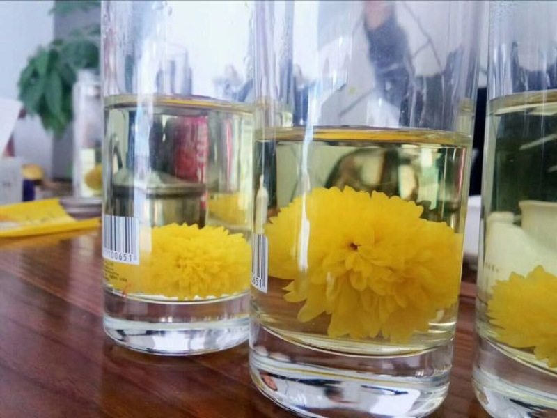 珍珠菊花茶一级