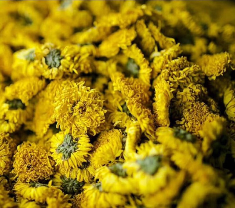 珍珠菊花茶一级