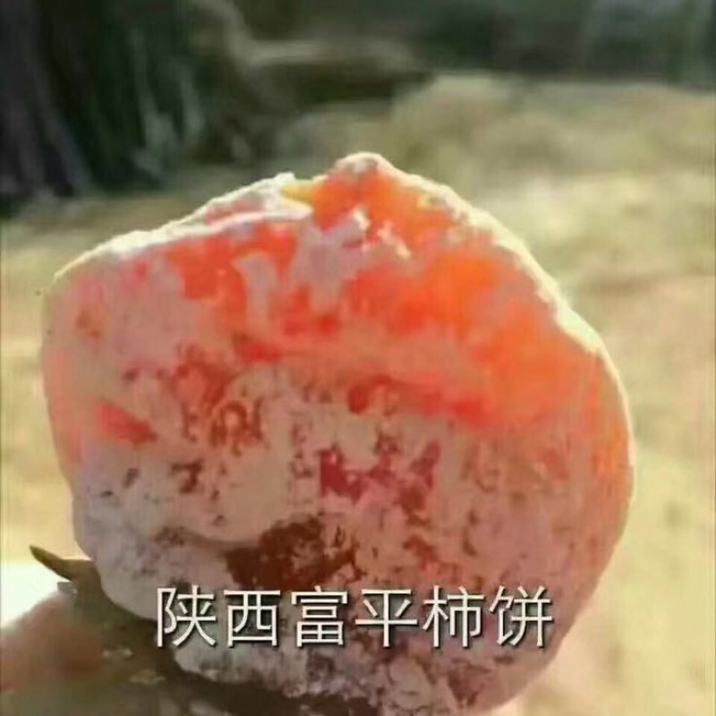 柿饼1~2两