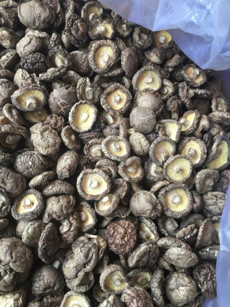 干香菇