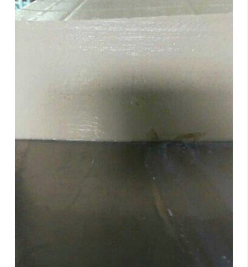 內脂豆腐湿豆腐