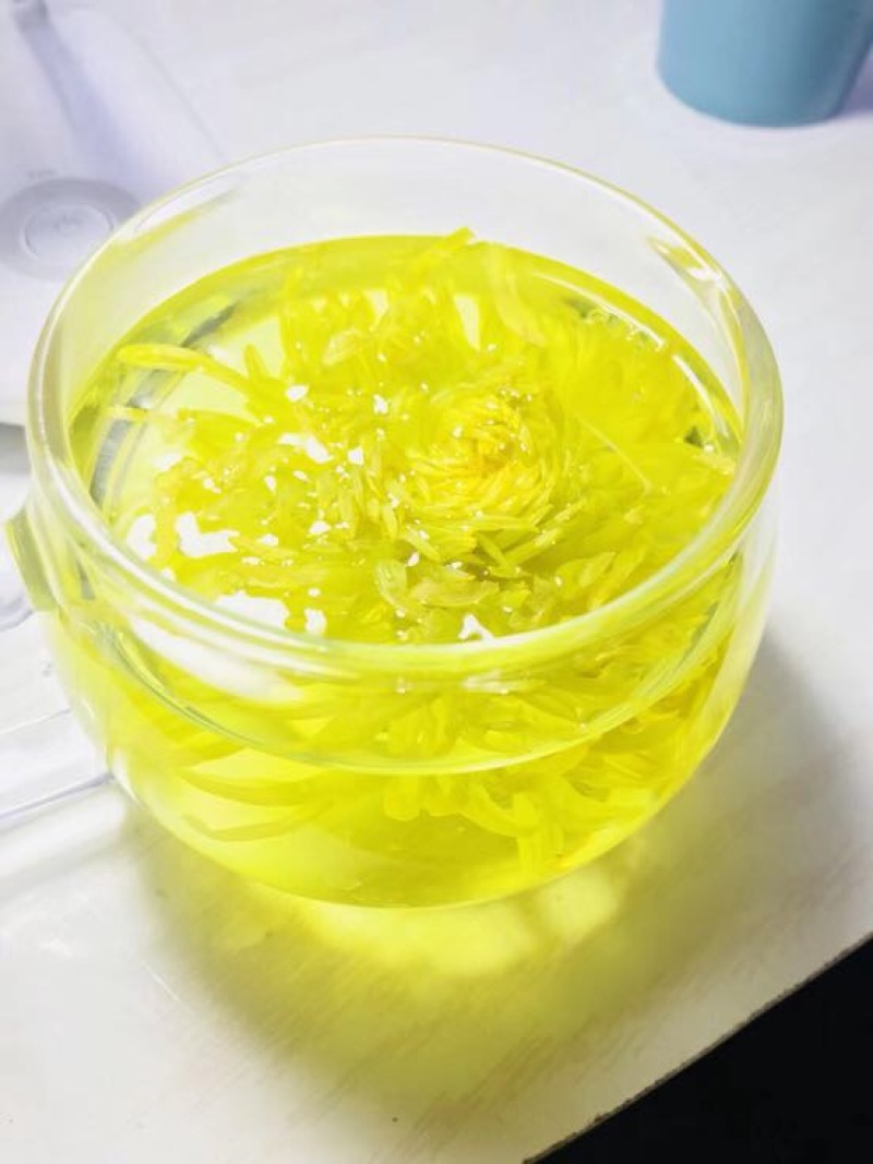 金丝皇菊茶一级