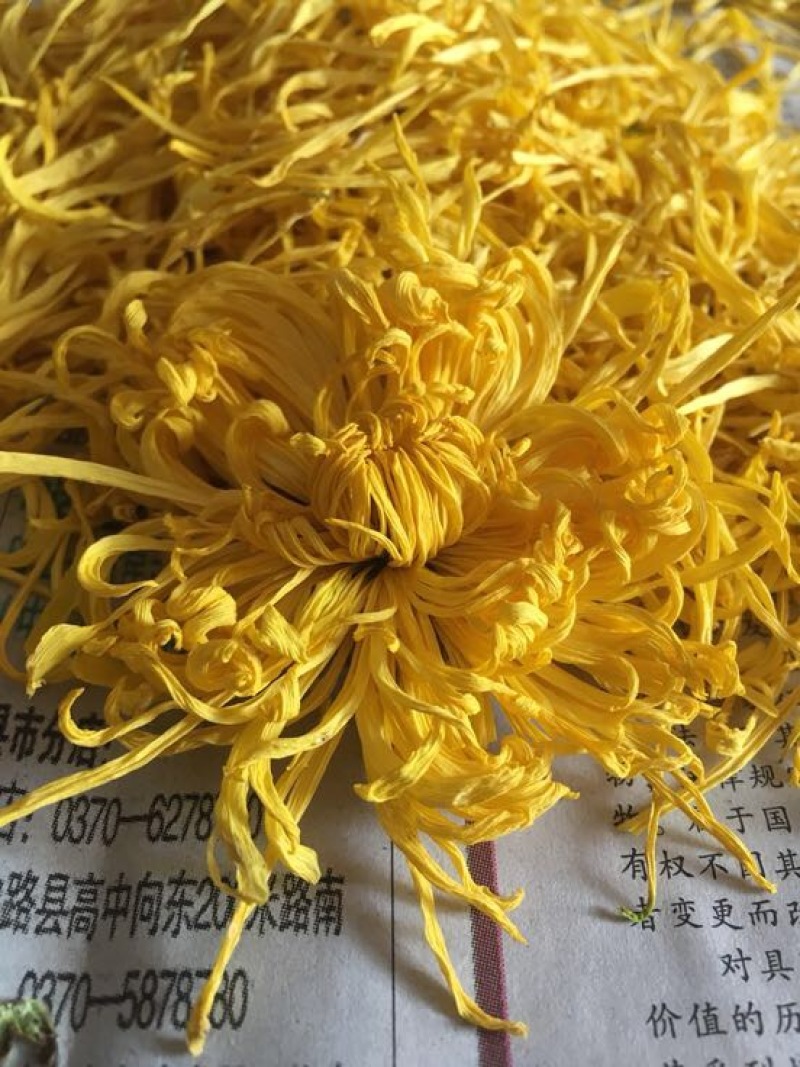 金丝皇菊茶一级