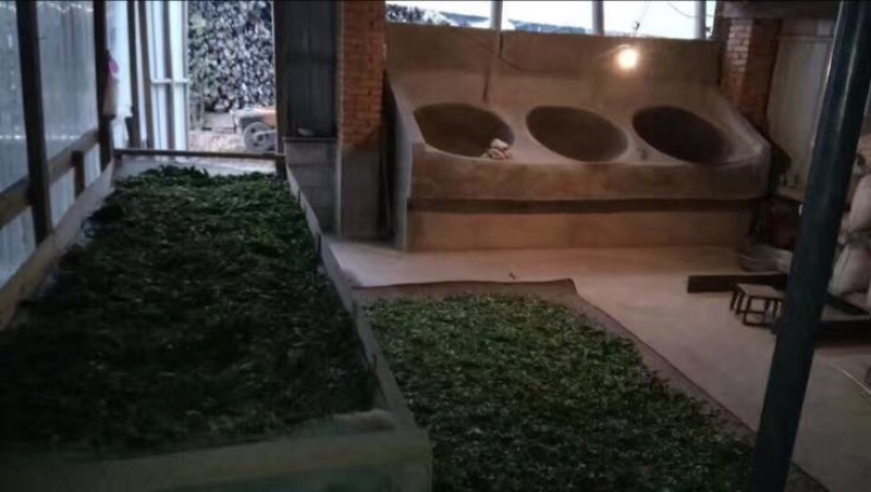 普洱茶末茶