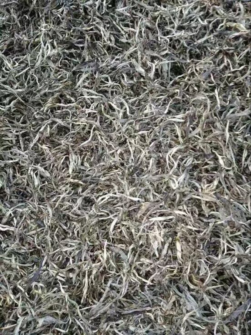 普洱茶末茶
