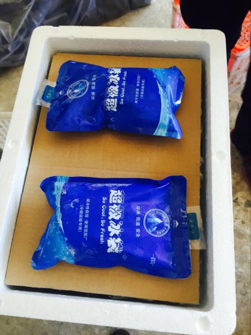 广东桑，新鲜桑葚，桑葚现采现发