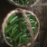 小黄瓜鲜花带刺18公分以下