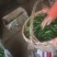 小黄瓜鲜花带刺18公分以下