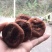 柿饼1~2两