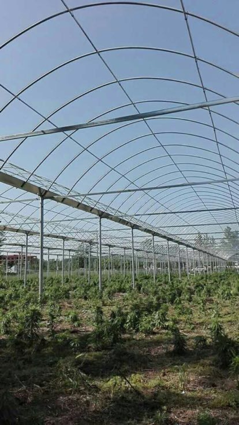 花卉大棚椭圆管大棚设计几字钢型大棚双梁养殖大棚建设