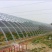 花卉大棚椭圆管大棚设计几字钢型大棚双梁养殖大棚建设