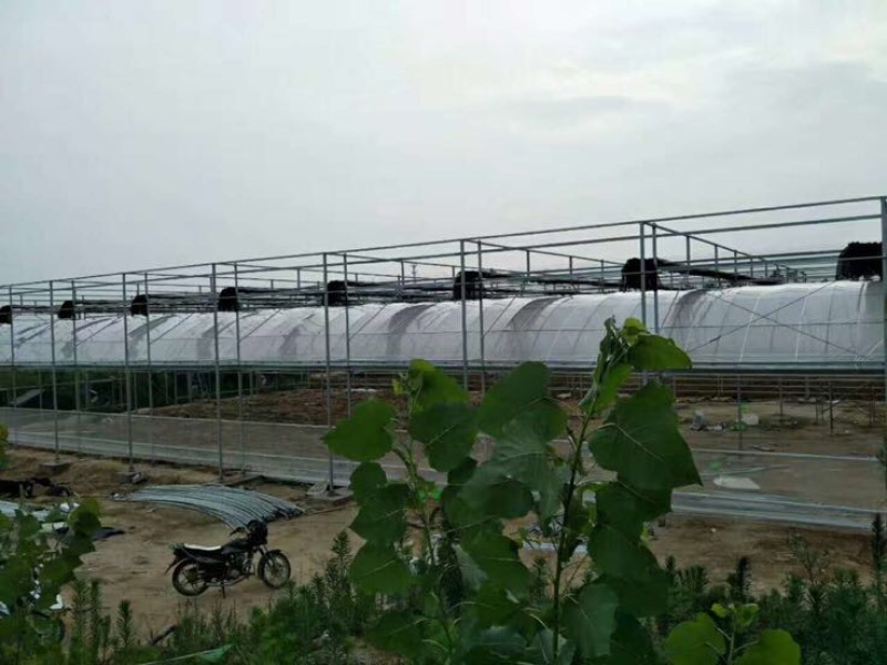 花卉大棚椭圆管大棚设计几字钢型大棚双梁养殖大棚建设