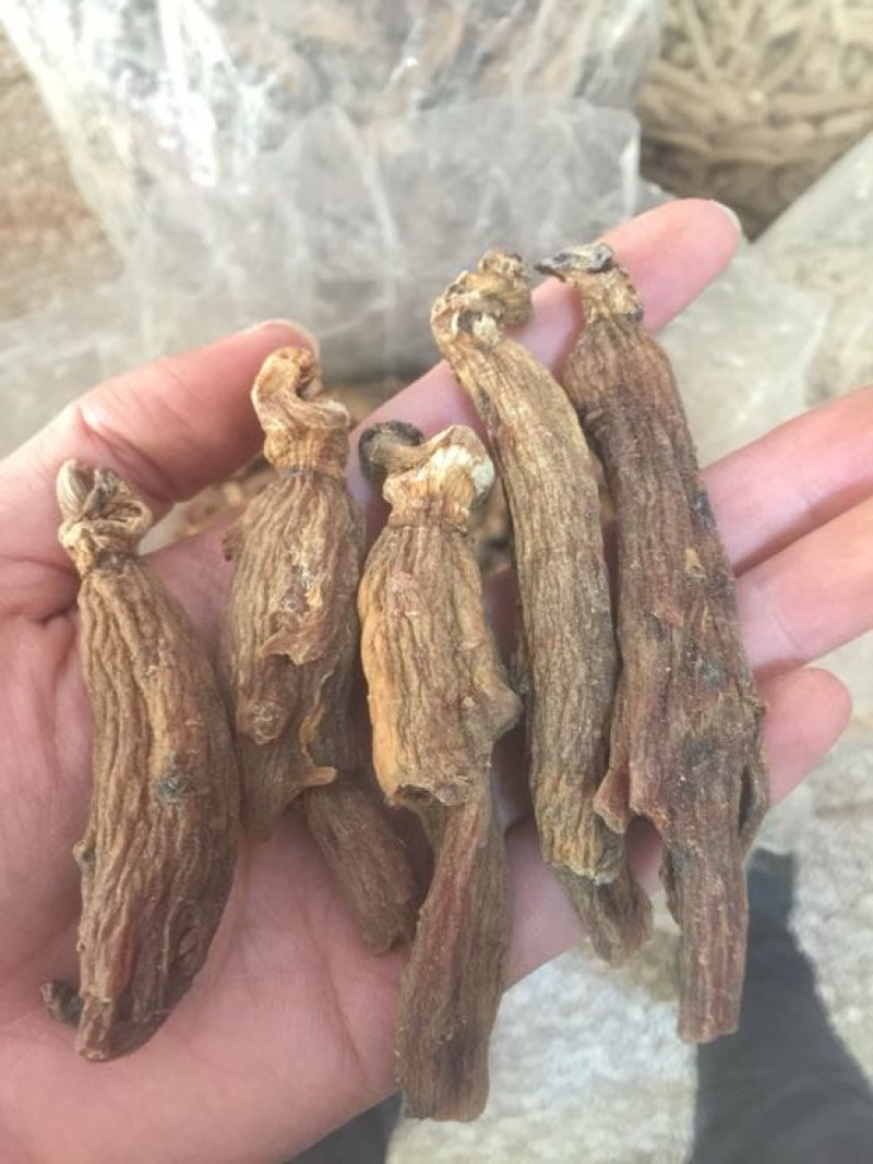 红参