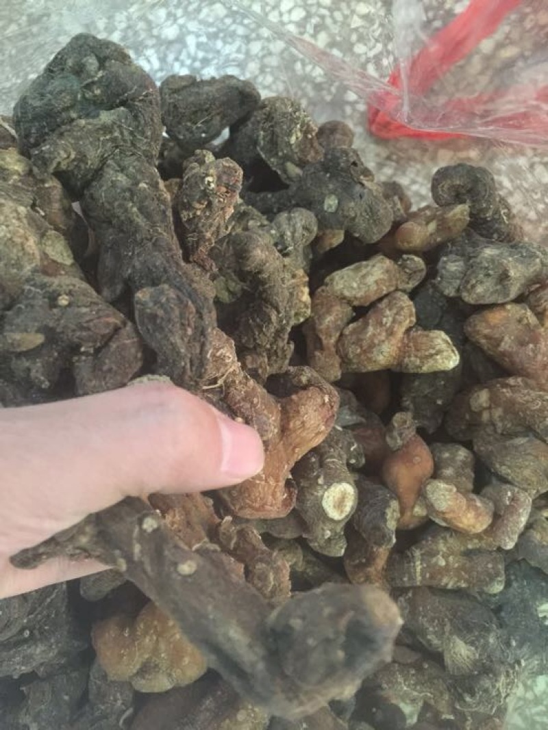 黄精中大货