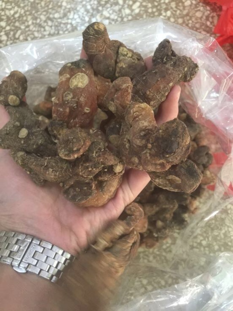 黄精中大货