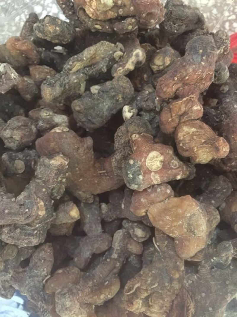 黄精中大货