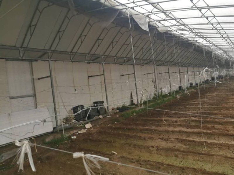 蔬菜温室大棚厂家无支柱大棚骨架热镀锌