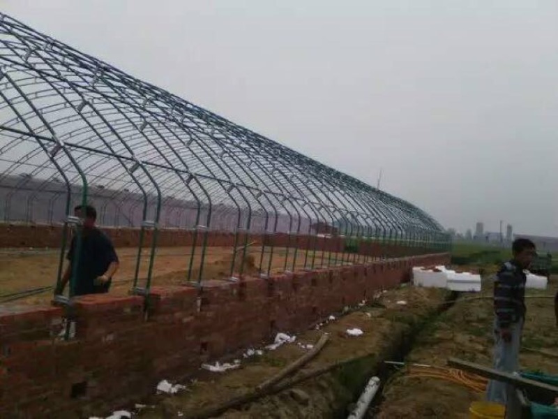 养殖大棚无立柱大棚