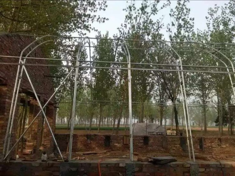 养殖大棚无立柱大棚