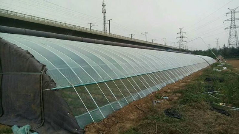 大棚配件蔬菜大棚配件温室大棚配件养殖大棚食用菌大