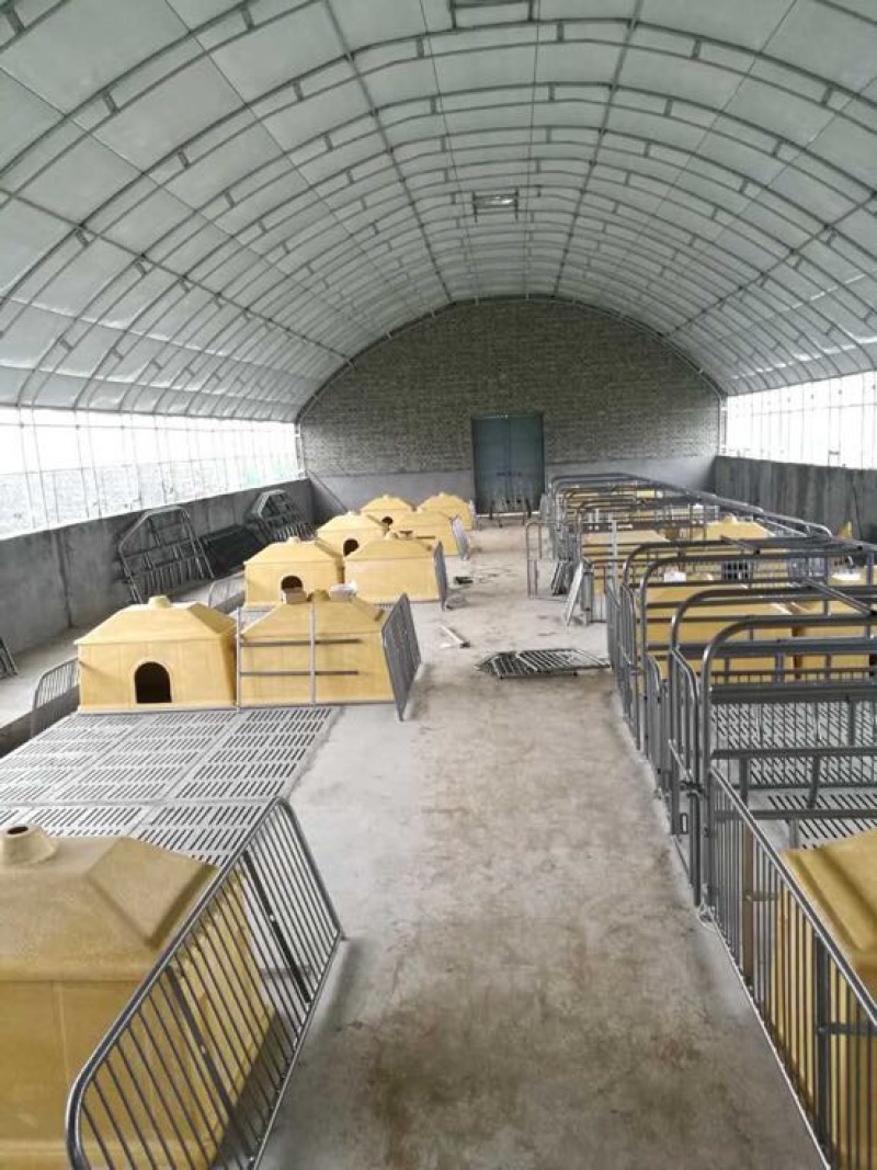 养殖大棚养猪大棚养鸡骨架养鸭大棚养牛棚大棚建