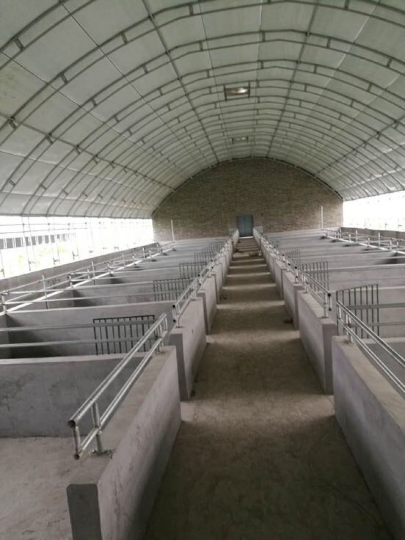 养殖大棚养猪大棚养鸡骨架养鸭大棚养牛棚大棚建
