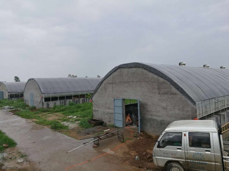 养殖大棚养猪大棚养鸡骨架养鸭大棚养牛棚大棚建