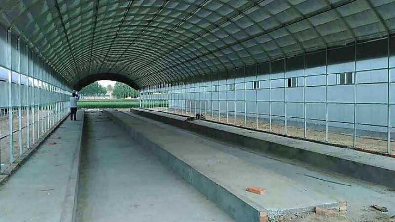 养殖大棚养猪大棚养鸡骨架养鸭大棚养牛棚大棚建