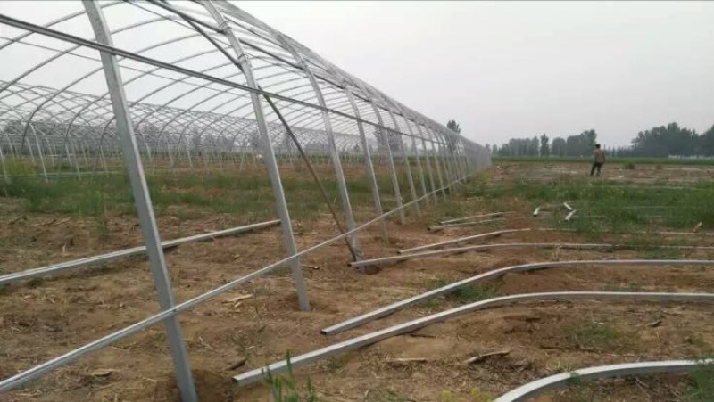 蔬菜大棚椭圆钢管大棚