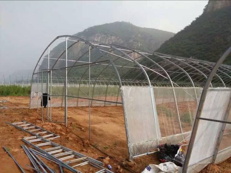 蔬菜大棚椭圆钢管大棚