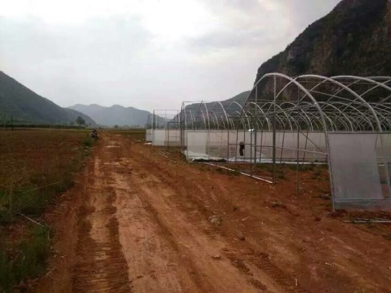 蔬菜大棚椭圆钢管大棚