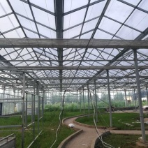 纹络式连栋温室椭圆钢管大棚