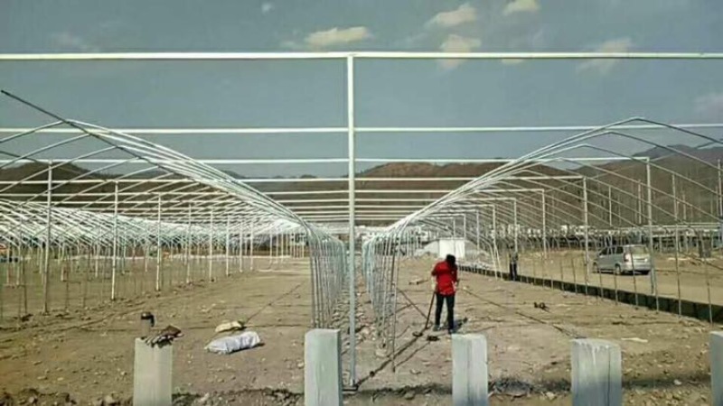 纹络式连栋温室椭圆钢管大棚