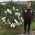 大雅柑1号苗二公分起带土