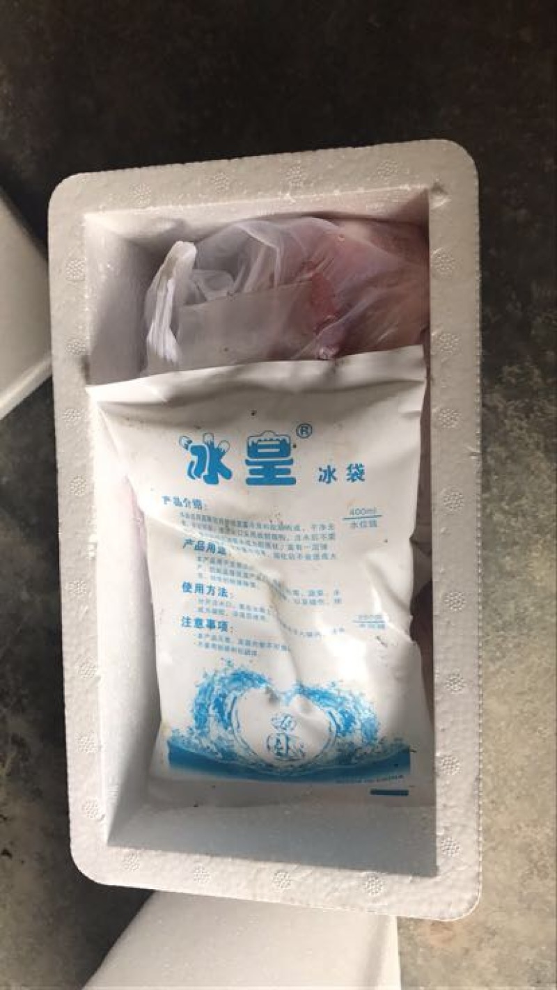 生产批发邮政泡沫箱3-8号（350*190*230）