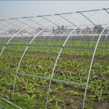 蔬菜大棚骨架温室大棚骨架养殖大棚骨架