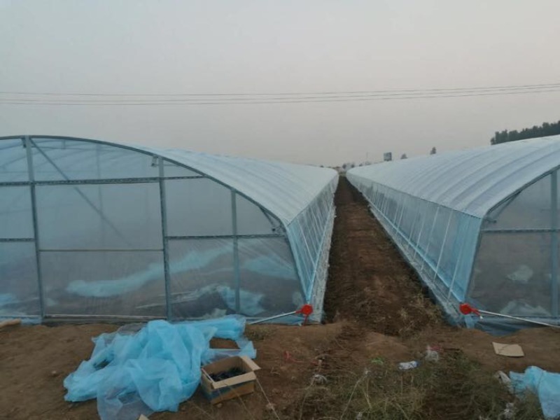 蔬菜大棚骨架温室大棚骨架养殖大棚骨架