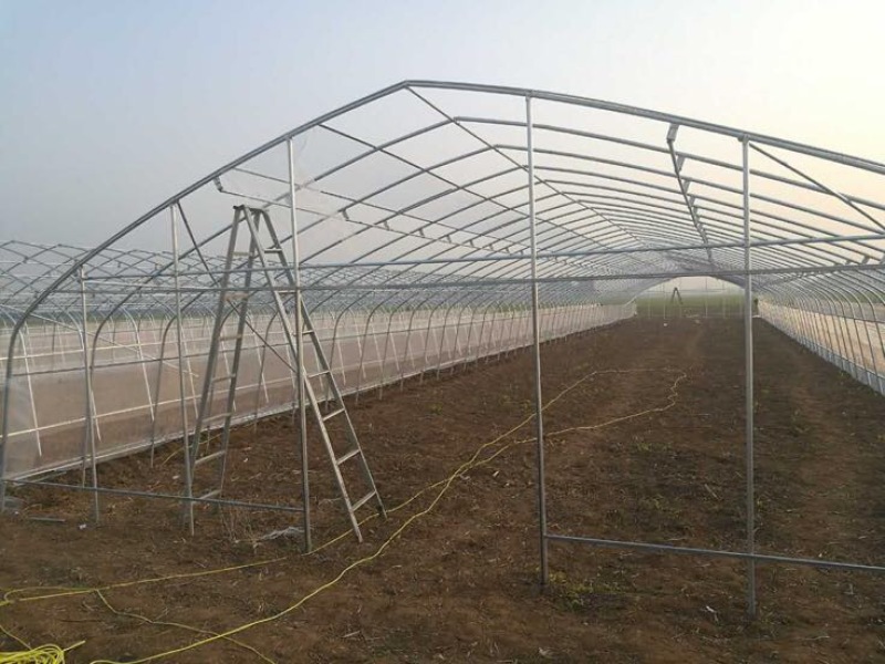 蔬菜大棚骨架温室大棚骨架养殖大棚骨架