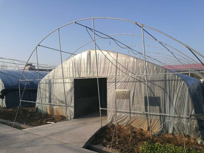 蔬菜大棚骨架温室大棚骨架养殖大棚骨架