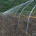 蔬菜大棚骨架温室大棚骨架养殖大棚骨架