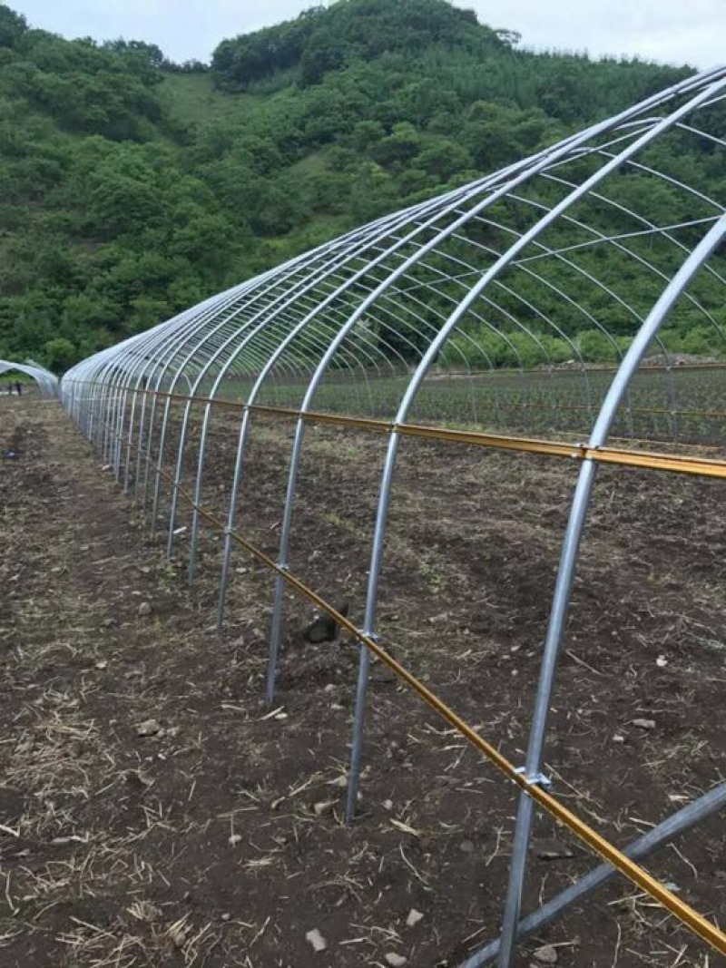 蔬菜大棚骨架温室大棚骨架养殖大棚骨架
