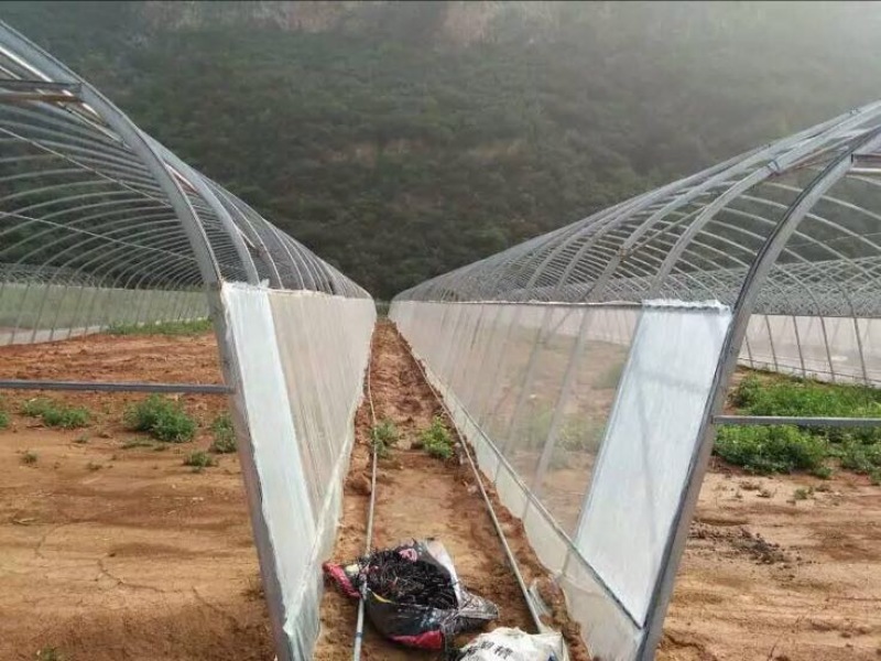 蔬菜大棚骨架温室大棚骨架养殖大棚骨架